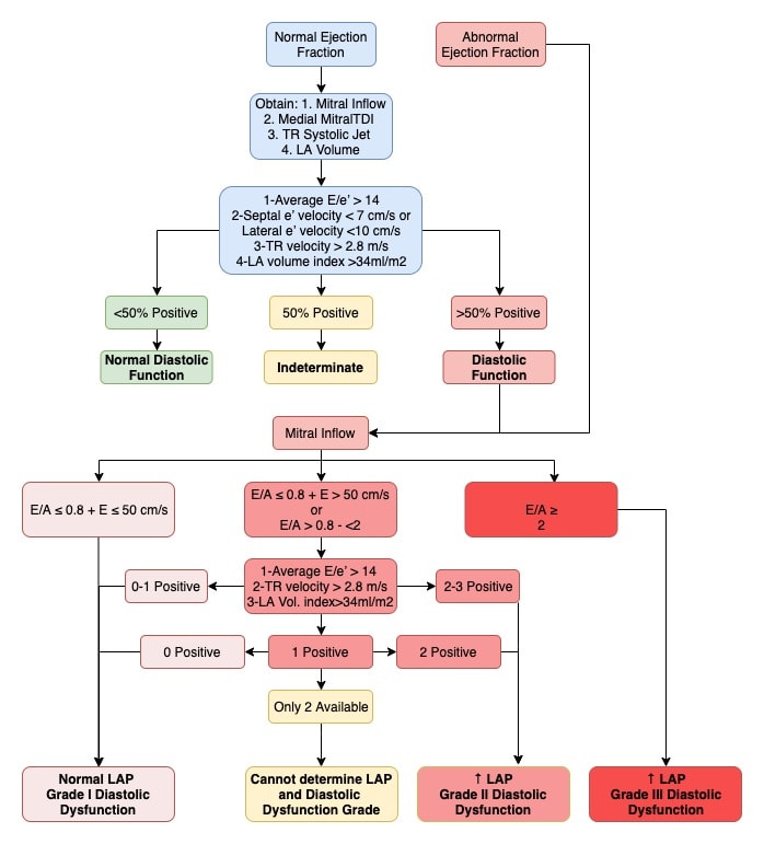 5 Steps to Identify Diastolic Dysfunction in Echo Cardioserv