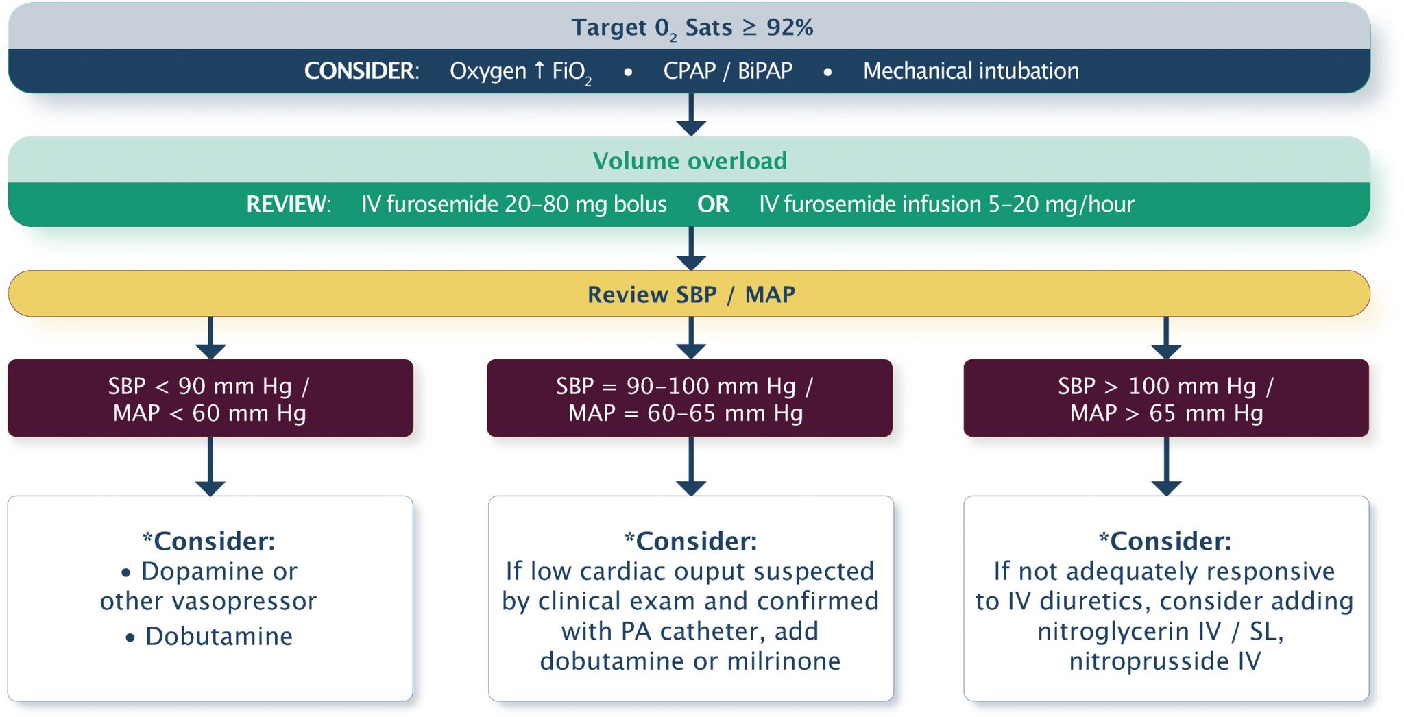 Acute Heart Failure Cardio Guide