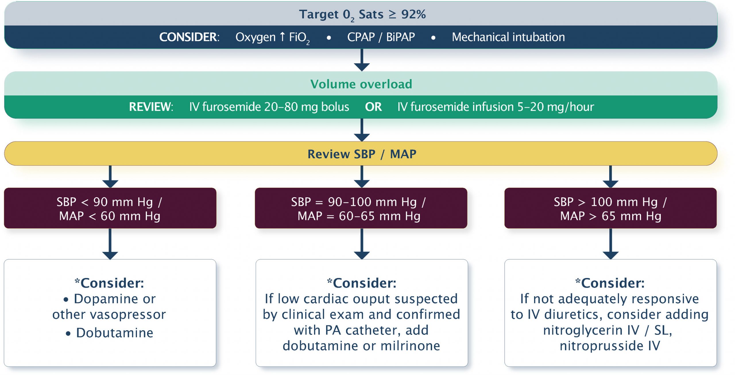 acute-heart-failure-cardio-guide