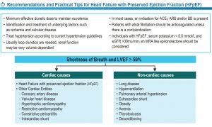 hfpef ccs