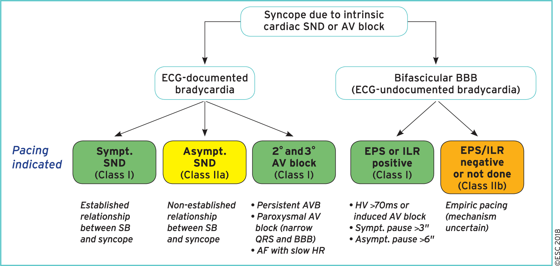 2018 ESC Guidelines for the diagnosis and management of syncope