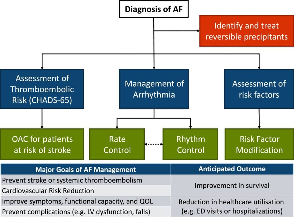 Atrial Fibrillation Cardio Guide