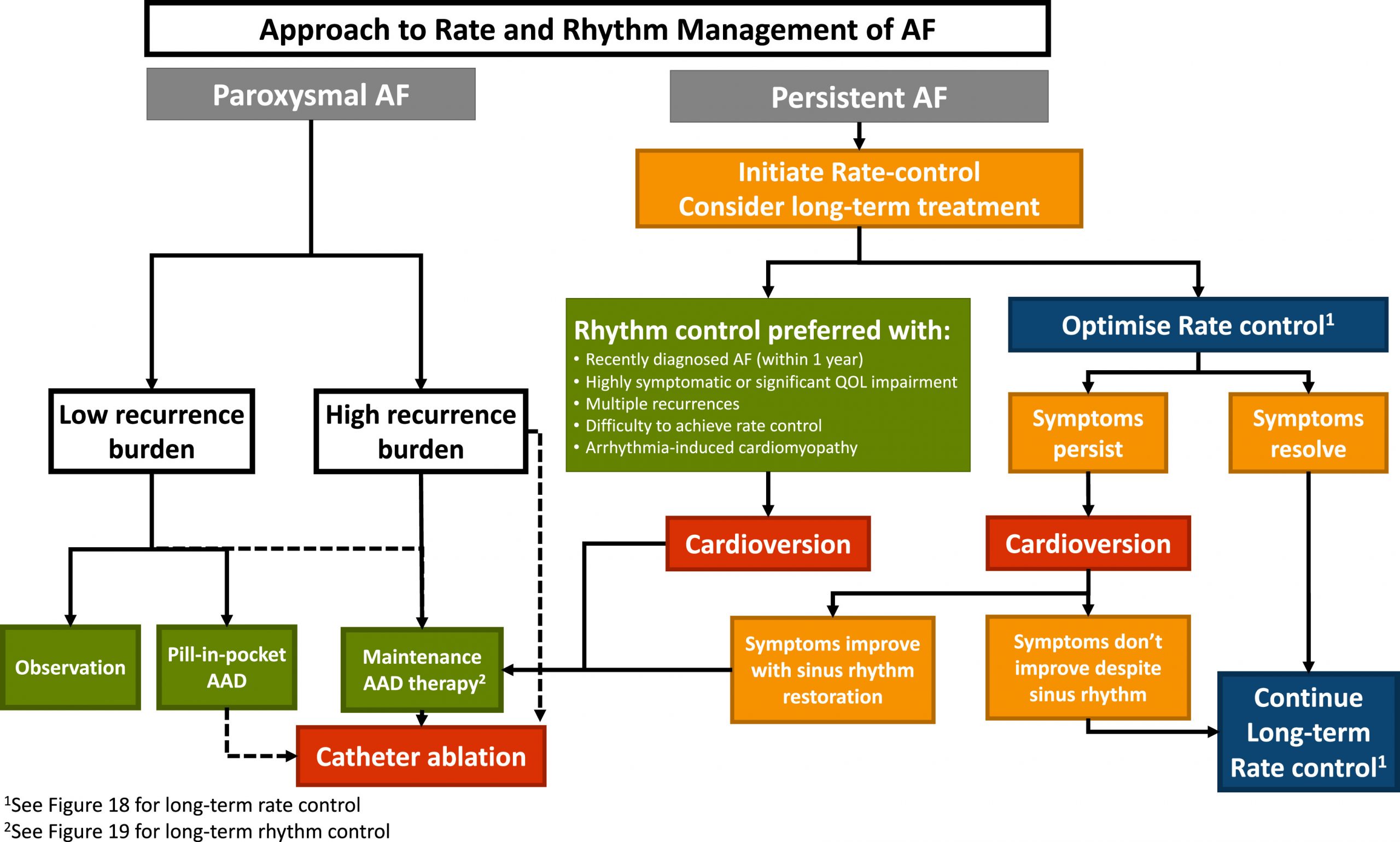 Atrial Fibrillation Cardio Guide