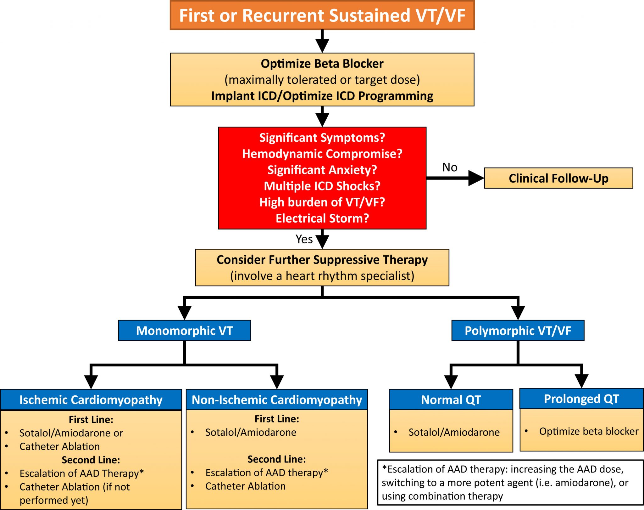 Wide Complex Tachycardia Management Cardio Guide