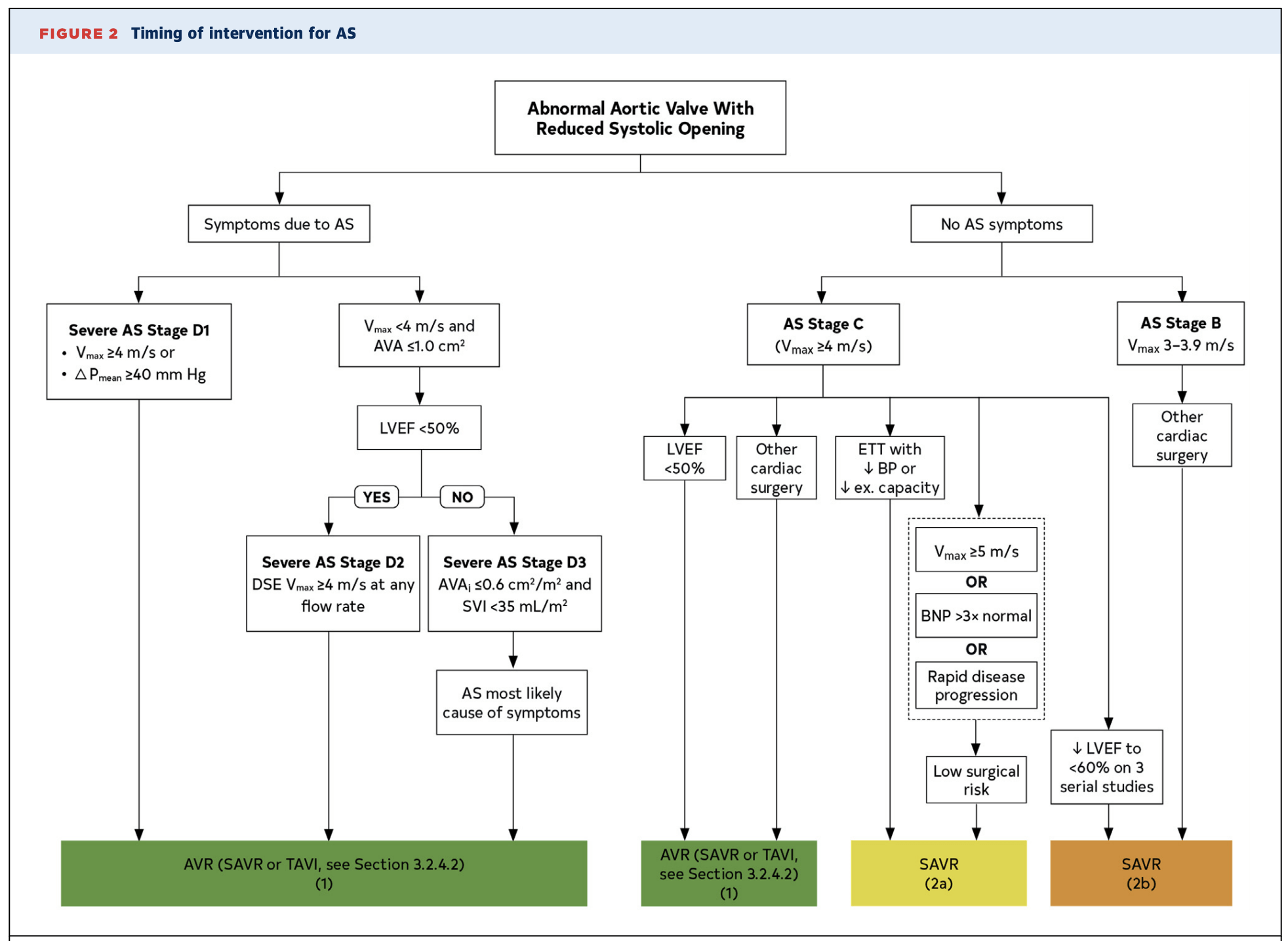 Aortic Stenosis Cardio Guide